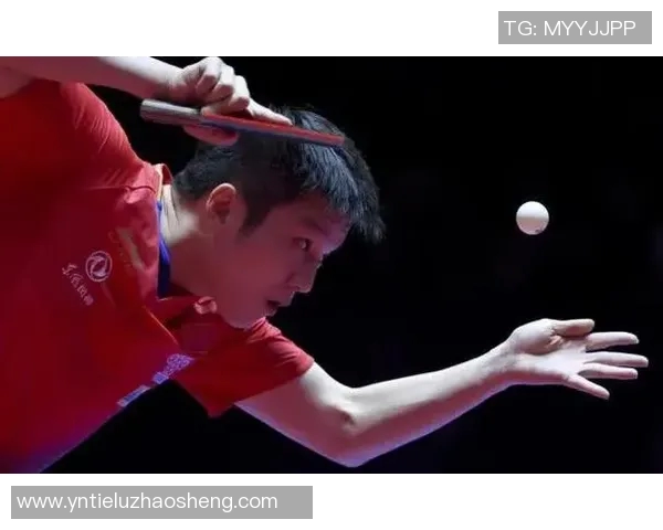 西安乒乓球队奋勇争先的奥运之路与辉煌成就回顾